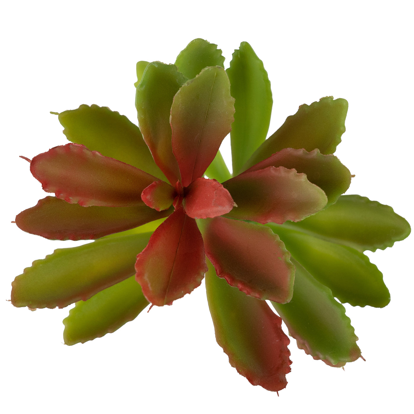 Planta artificiala Planta artificiala suculenta model67