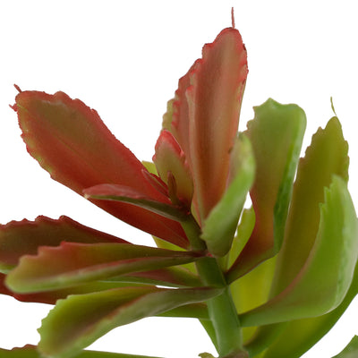 Planta artificiala Planta artificiala suculenta model67