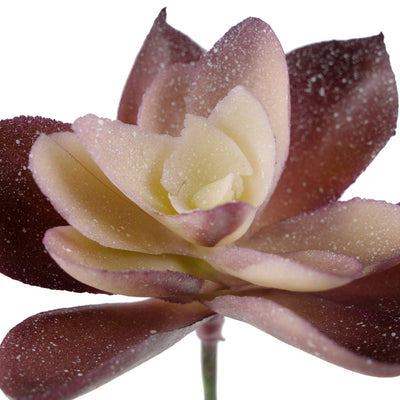 Planta artificiala Planta artificiala suculenta model70