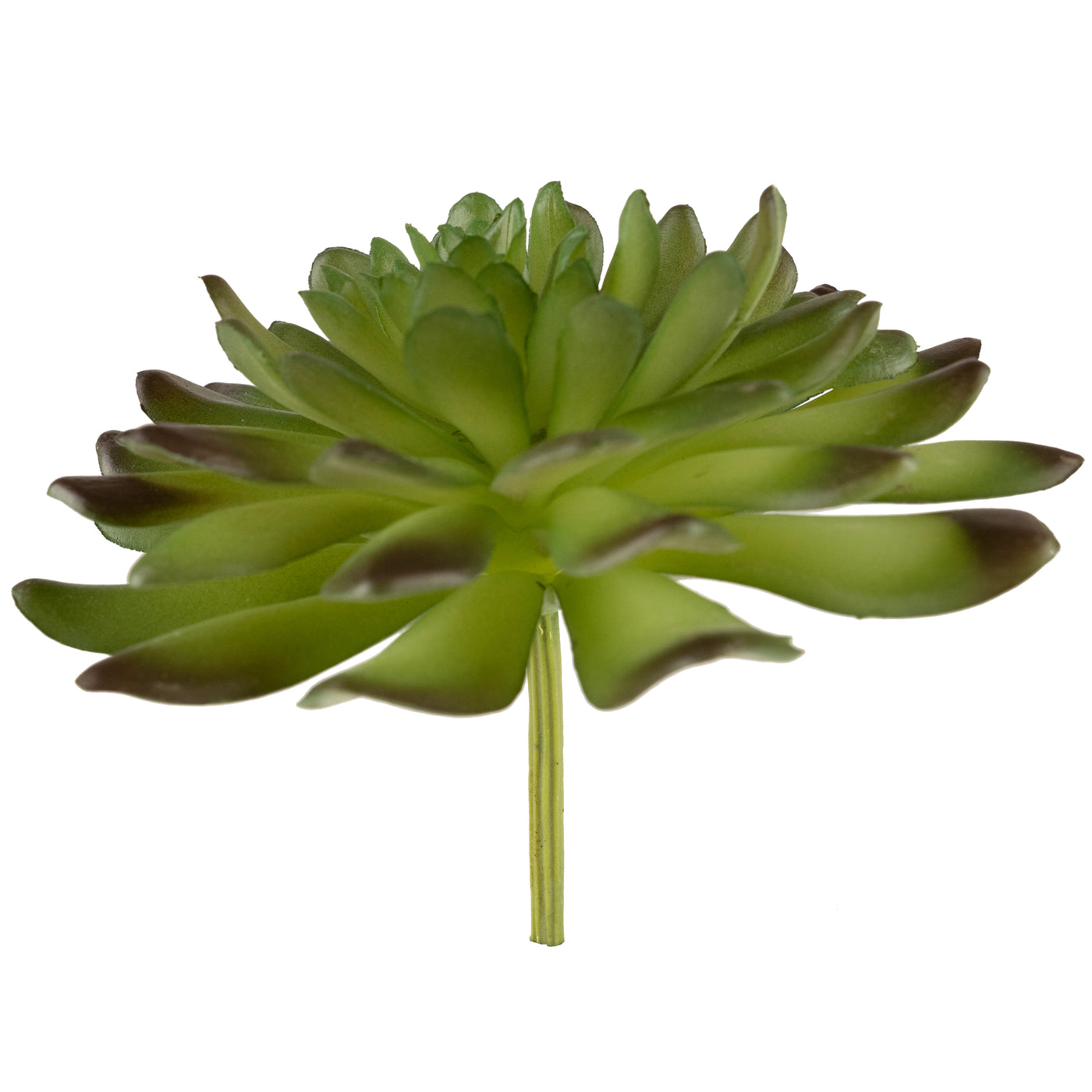 Planta artificiala Planta artificiala suculenta model71