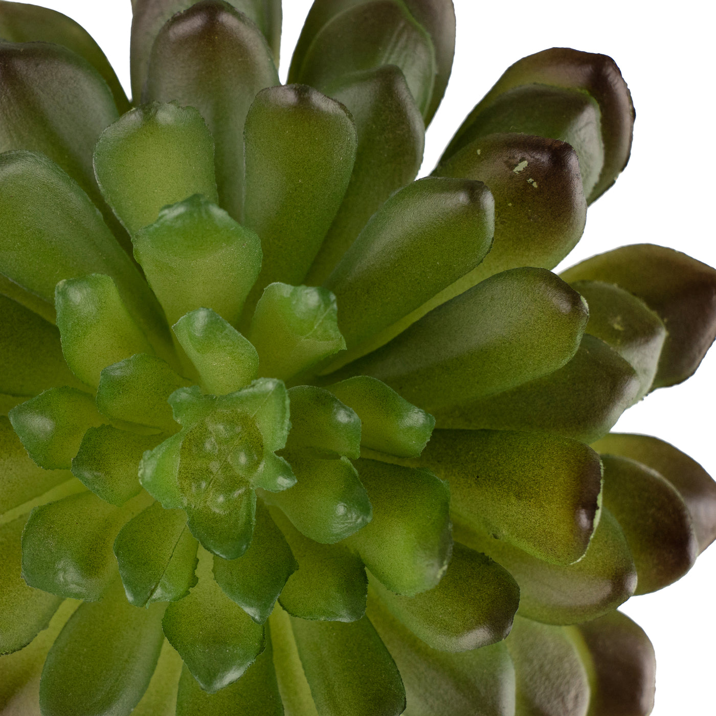Planta artificiala Planta artificiala suculenta model71