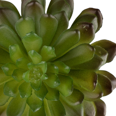 Planta artificiala Planta artificiala suculenta model71