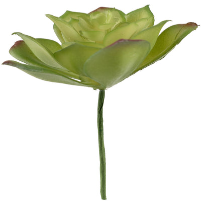 Planta artificiala Planta artificiala suculenta model72