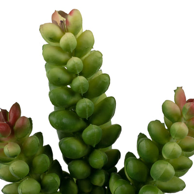 Planta artificiala Planta artificiala suculenta model73