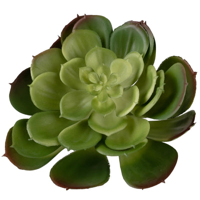 Planta artificiala suculenta model75