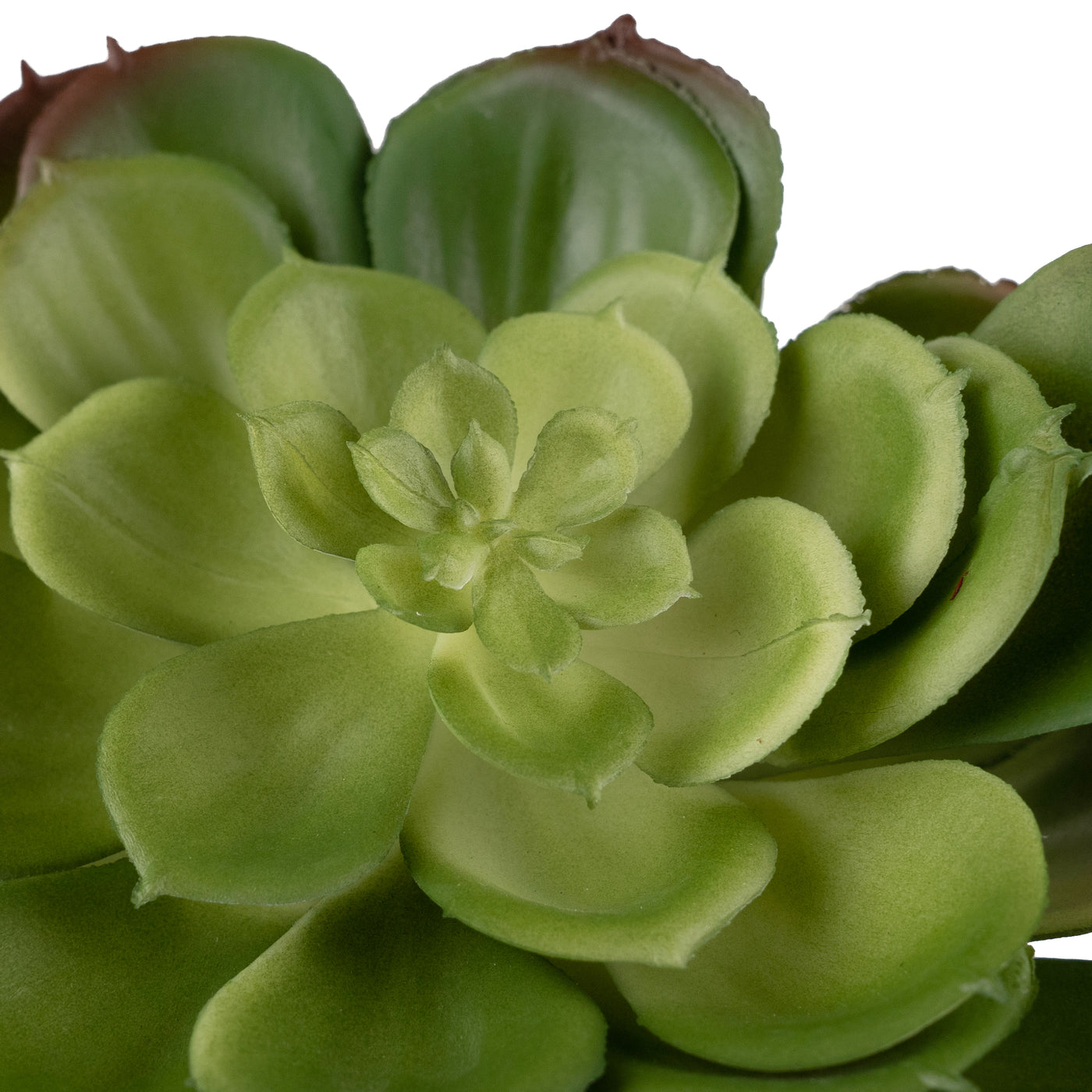 Planta artificiala Planta artificiala suculenta model75