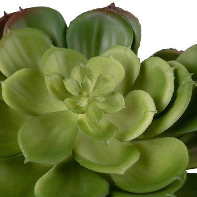 Planta artificiala Planta artificiala suculenta model75