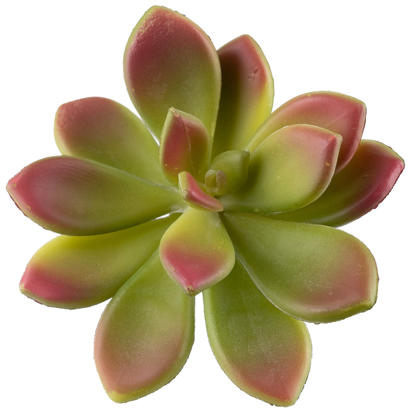 Planta artificiala Planta artificiala suculenta model76