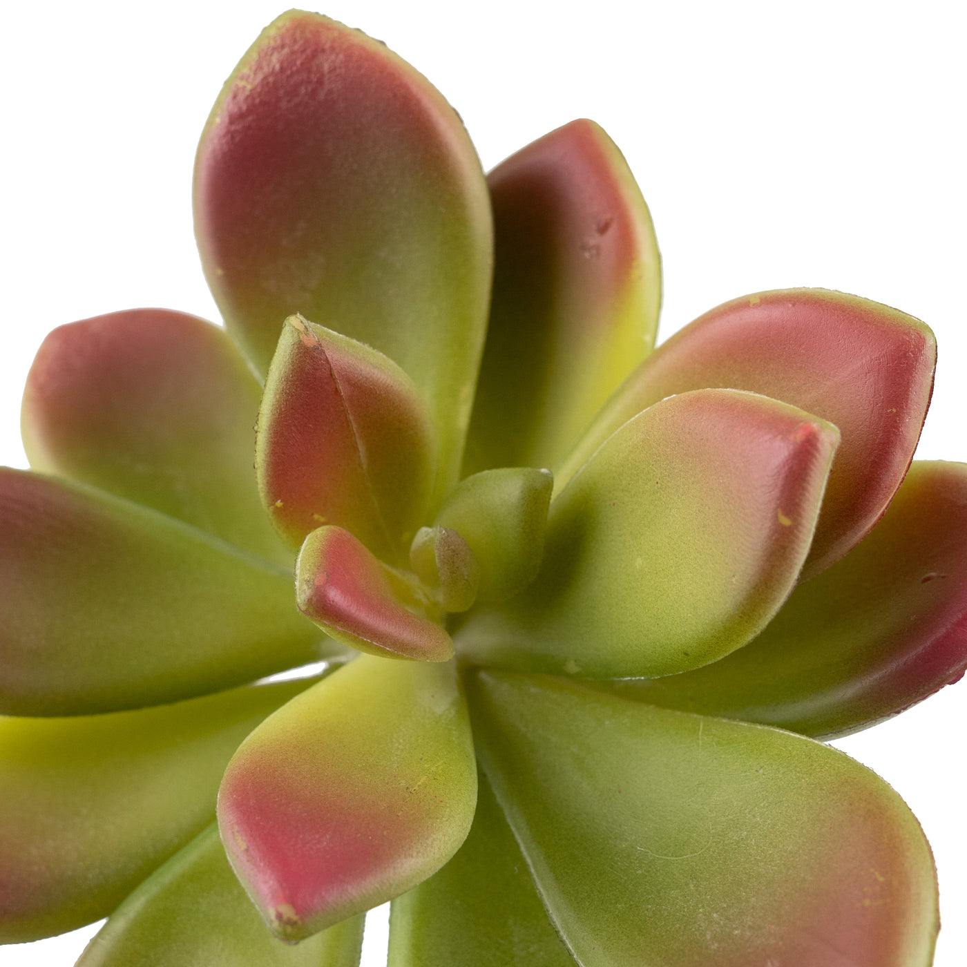 Planta artificiala Planta artificiala suculenta model76