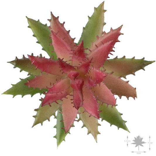 Planta artificiala Planta artificiala suculenta model79