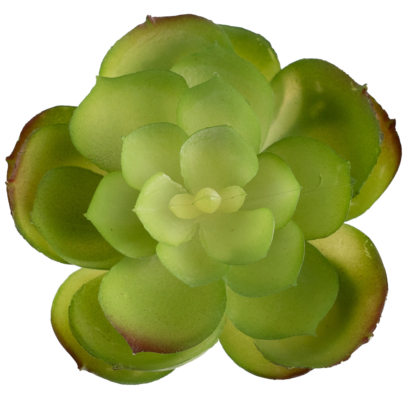 Planta artificiala Planta artificiala suculenta model8