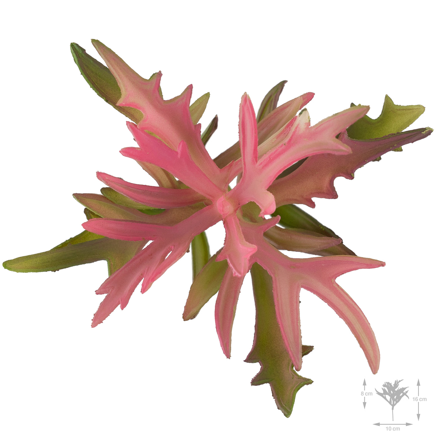 Planta artificiala Planta artificiala suculenta model80