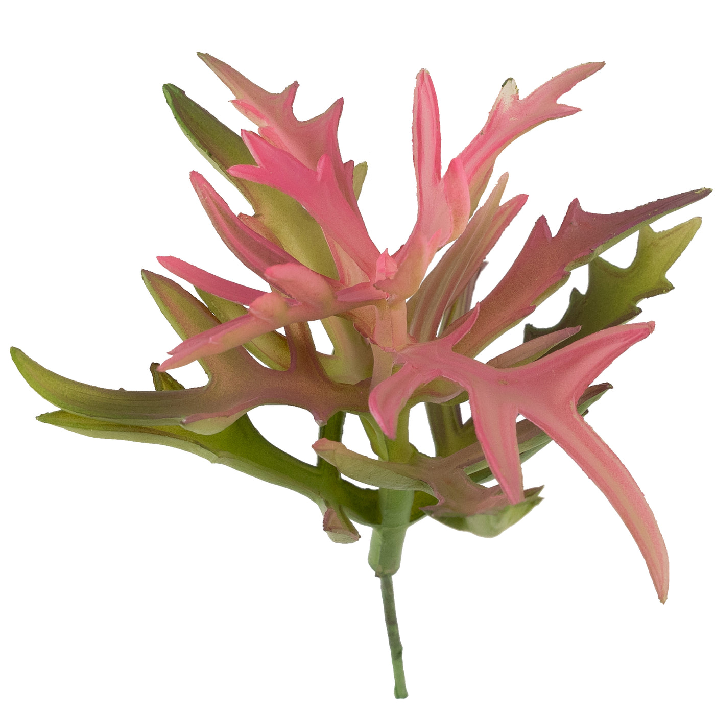 Planta artificiala Planta artificiala suculenta model80