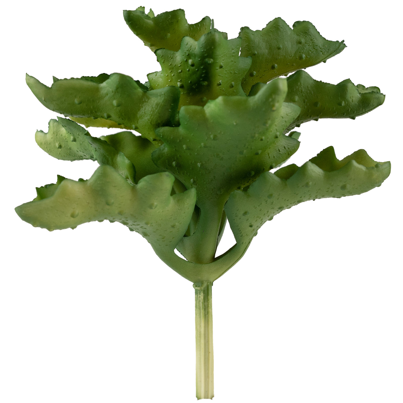 Planta artificiala Planta artificiala suculenta model81