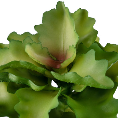 Planta artificiala Planta artificiala suculenta model81