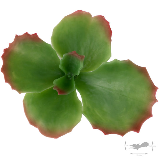 Planta artificiala Planta artificiala suculenta model85