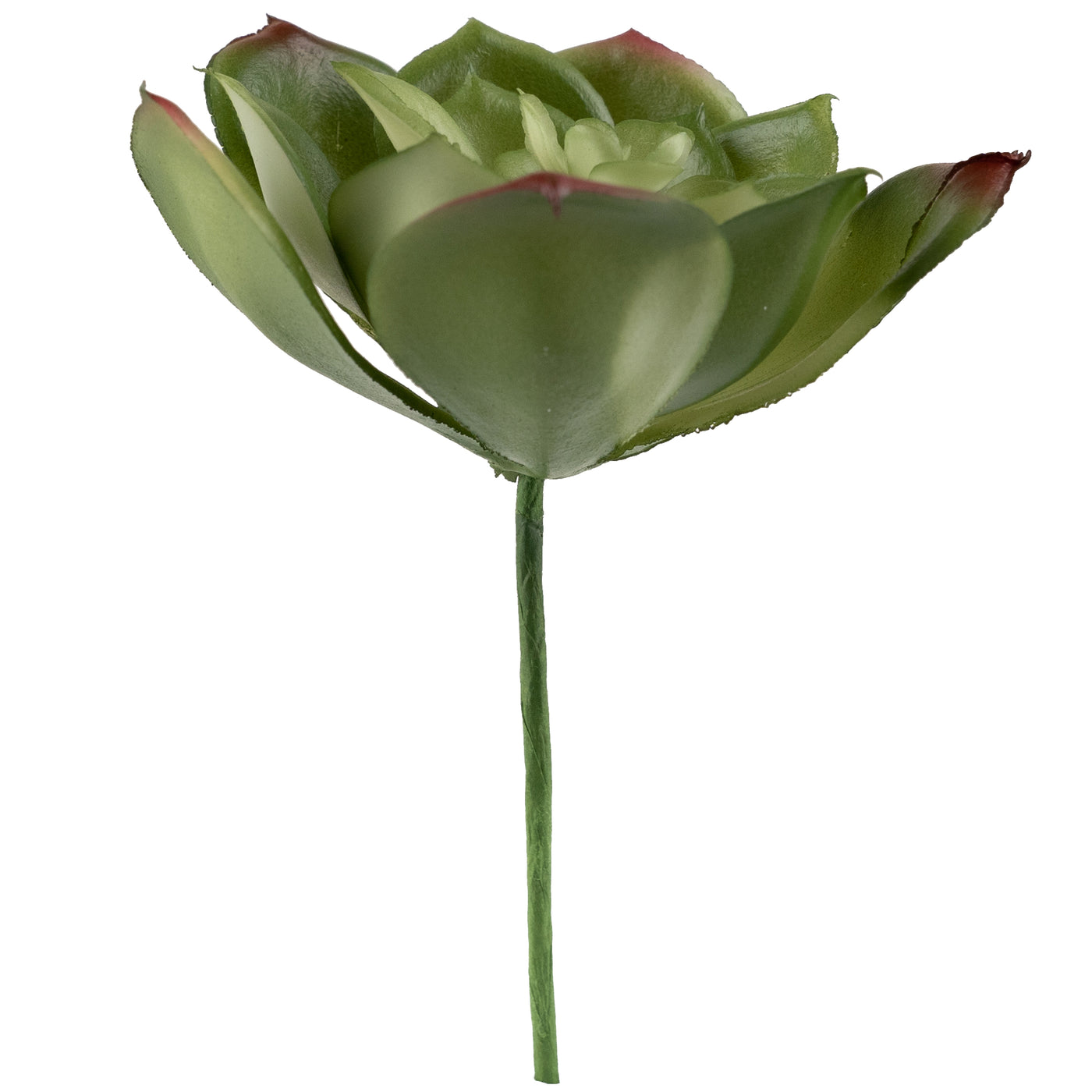 Planta artificiala Planta artificiala suculenta model88