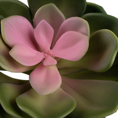 Planta artificiala Planta artificiala suculenta model89
