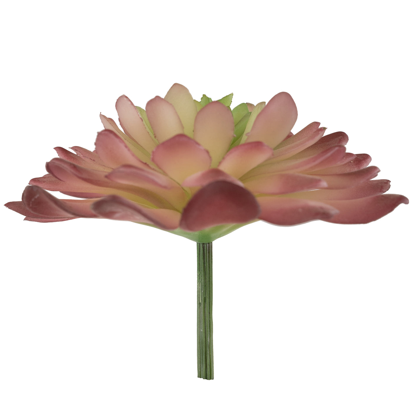 Planta artificiala Planta artificiala suculenta model9