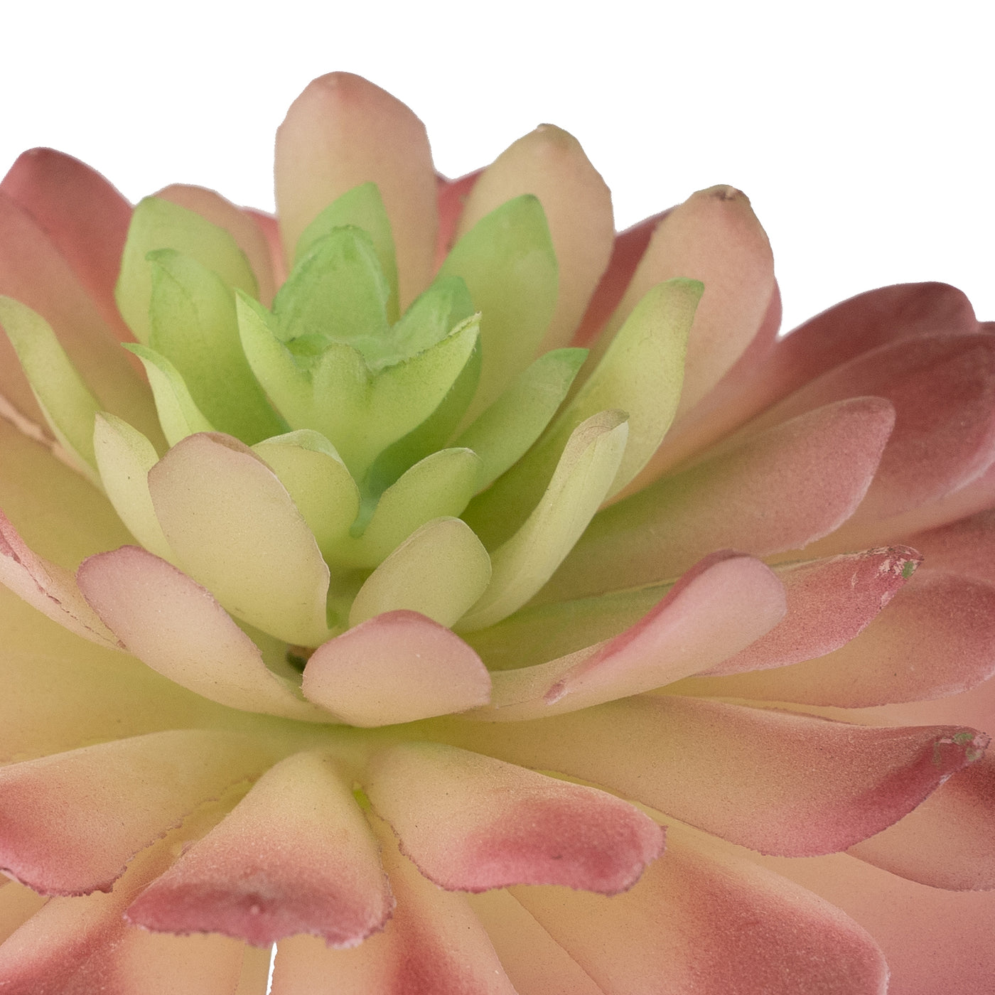 Planta artificiala Planta artificiala suculenta model9