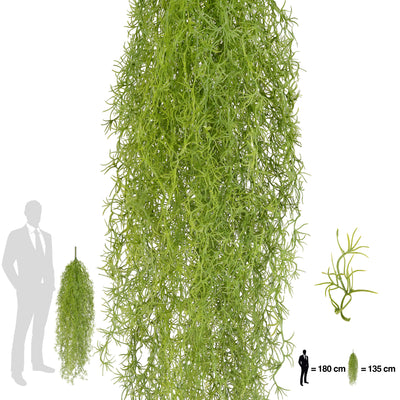 Planta curgatoare Long hair (tillandsia) 135 cm verde