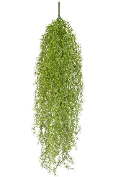 Planta curgatoare Long hair (tillandsia) 135 cm verde