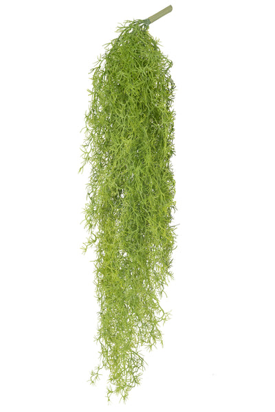 Planta curgatoare Long hair (tillandsia) 135 cm verde