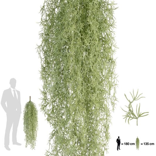 Planta curgatoare Long hair (tillandsia) 135 cm verde deschis