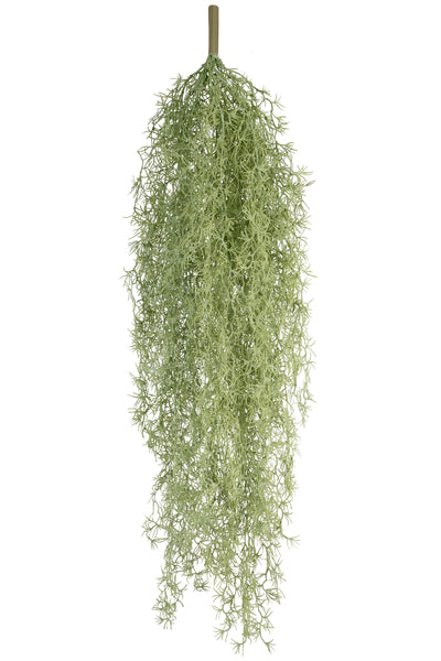 Planta curgatoare Long hair (tillandsia) 135 cm verde deschis