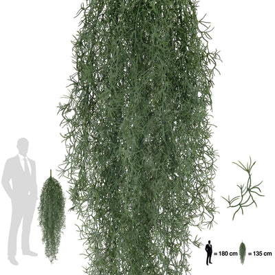 Planta curgatoare Long hair (tillandsia) 135 cm verde inchis