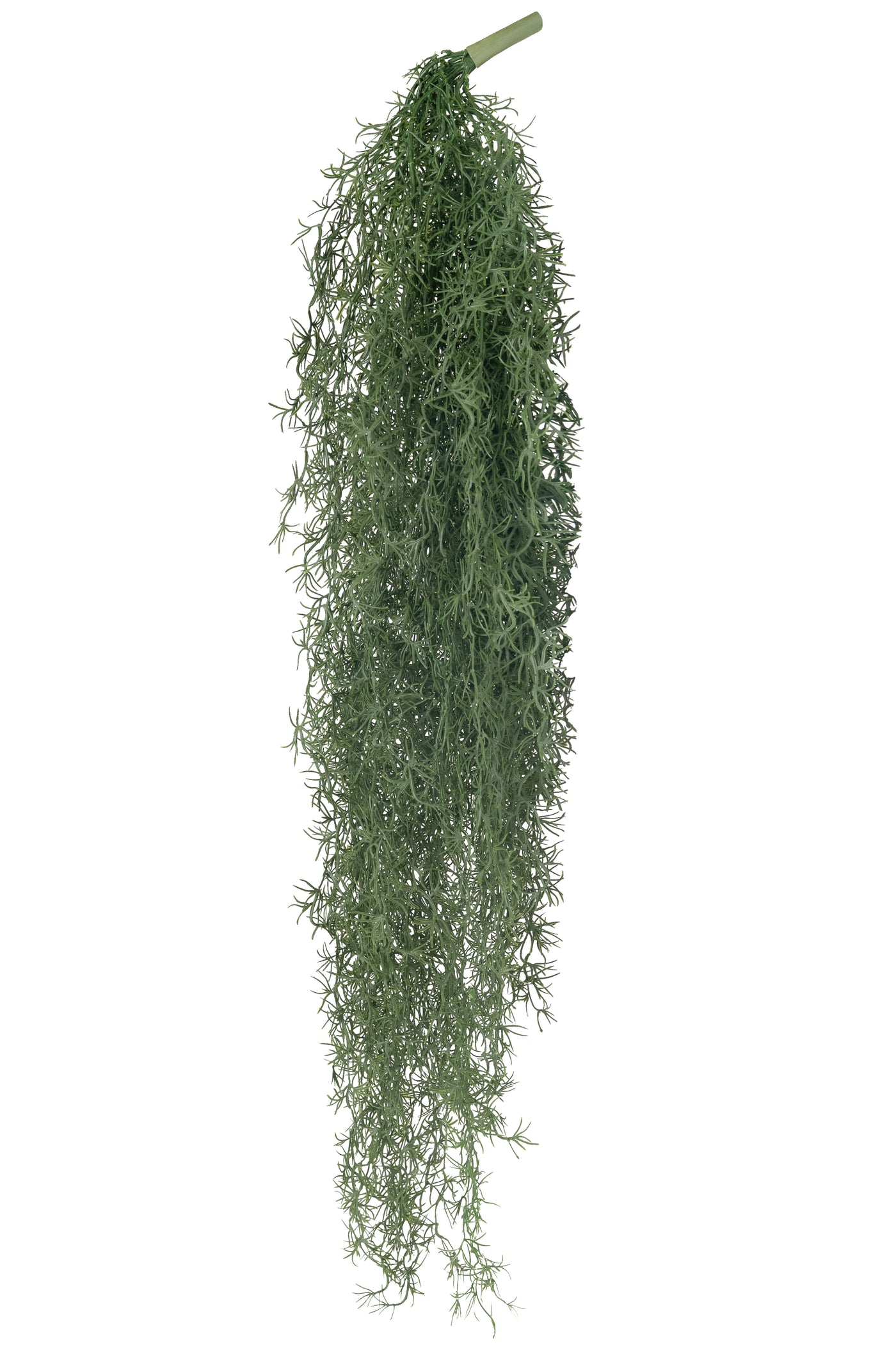 Planta curgatoare Long hair (tillandsia) 135 cm verde inchis