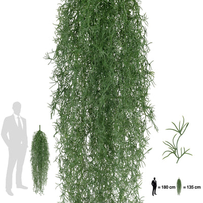 Planta curgatoare Long hair (tillandsia) 135 cm verde padure