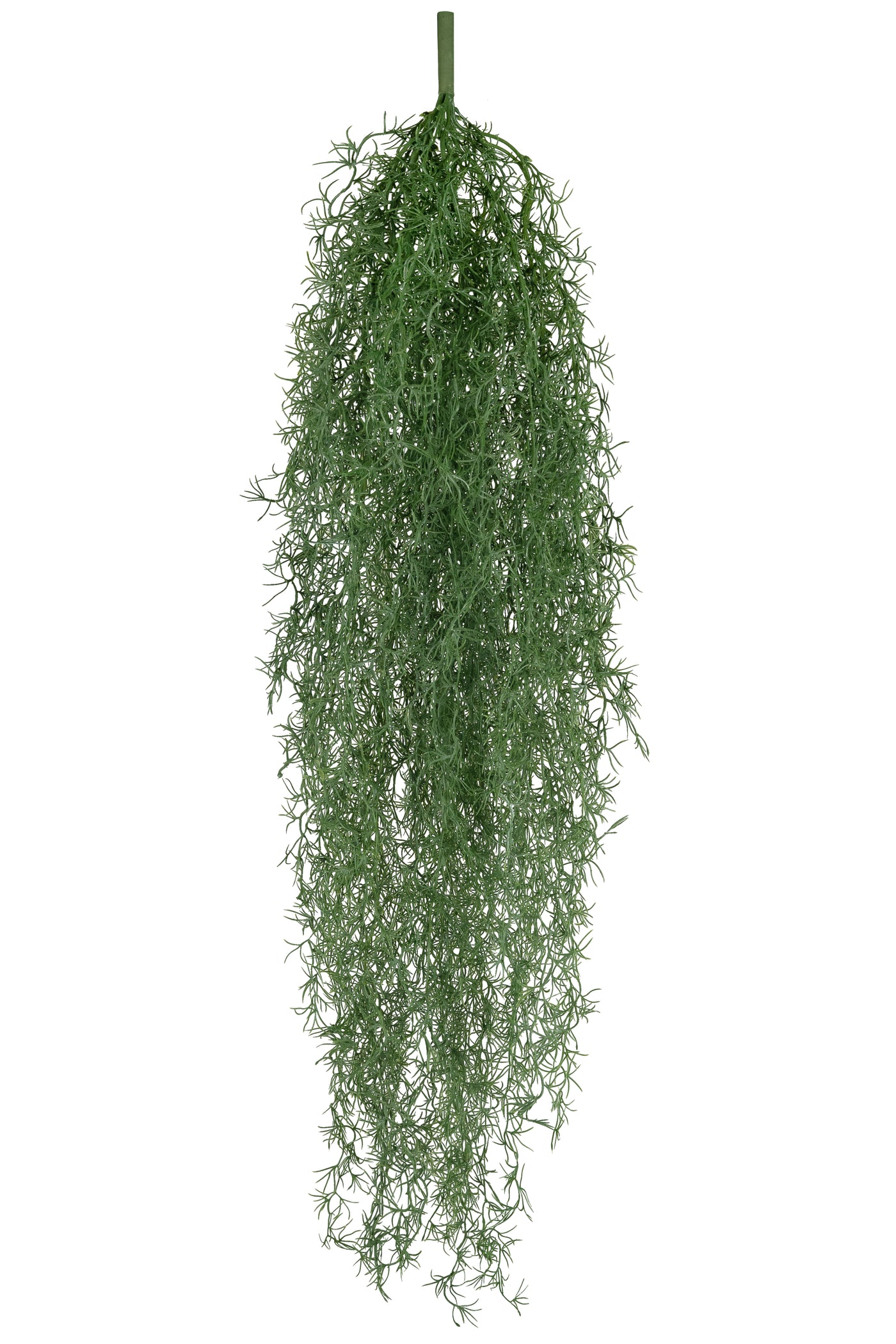 Planta curgatoare Long hair (tillandsia) 135 cm verde padure