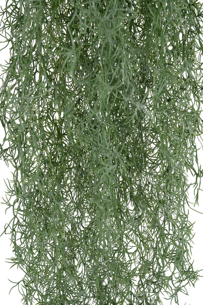 Planta curgatoare Long hair (tillandsia) 135 cm verde padure