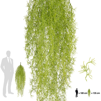 Planta curgatoare Long hair (tillandsia) 135 cm verde primavara