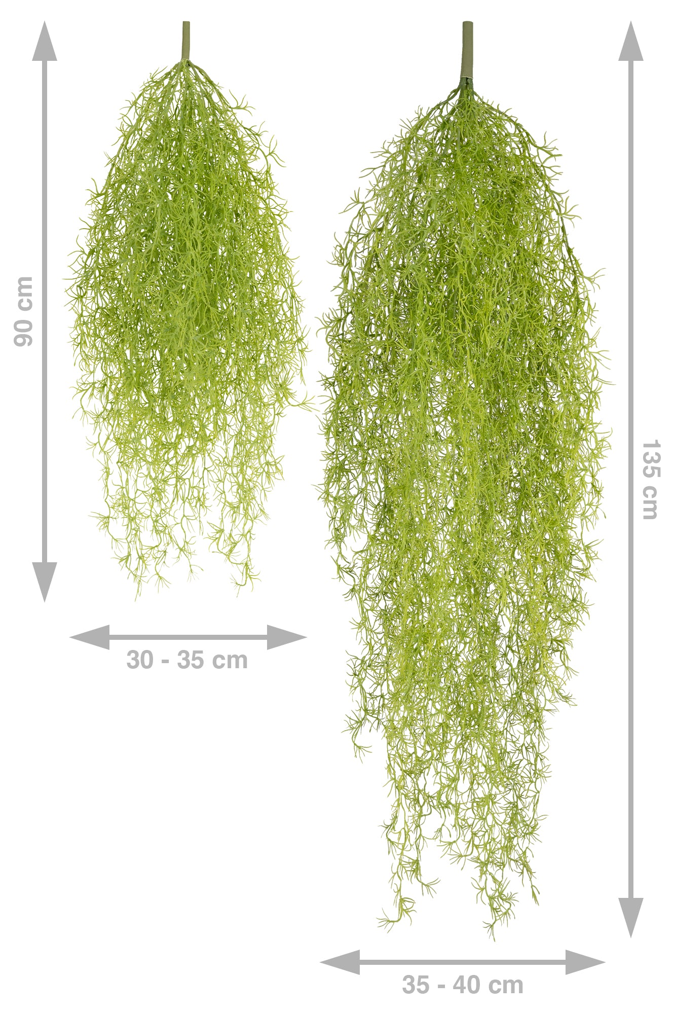 Planta curgatoare Long hair (tillandsia) 135 cm verde primavara