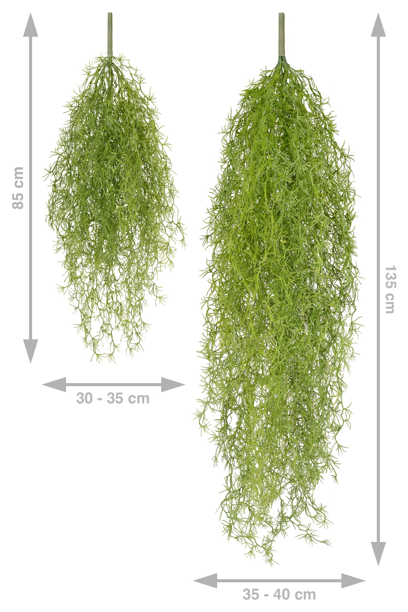 Planta curgatoare Long hair (tillandsia) 85 cm verde