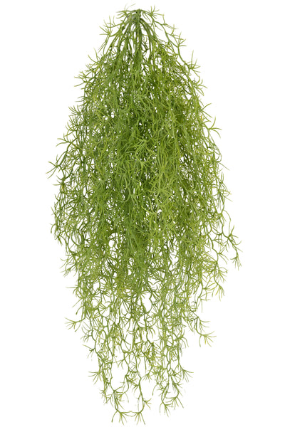 Planta curgatoare Long hair (tillandsia) 85 cm verde