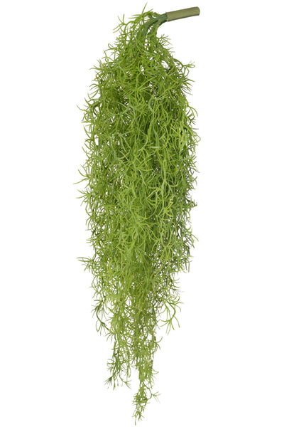 Planta curgatoare Long hair (tillandsia) 85 cm verde