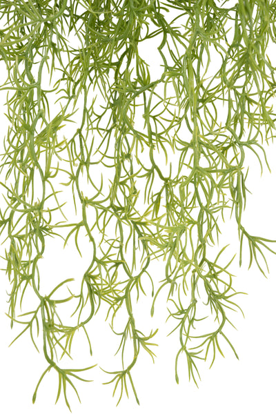 Planta curgatoare Long hair (tillandsia) 85 cm verde