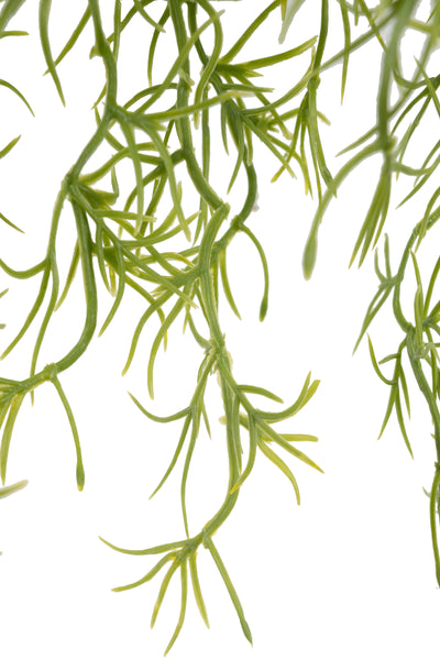 Planta curgatoare Long hair (tillandsia) 85 cm verde