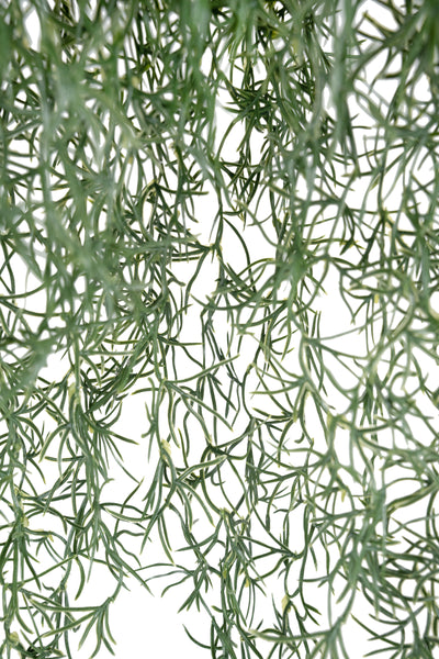 Planta curgatoare Long hair (tillandsia) 85 cm verde inchis