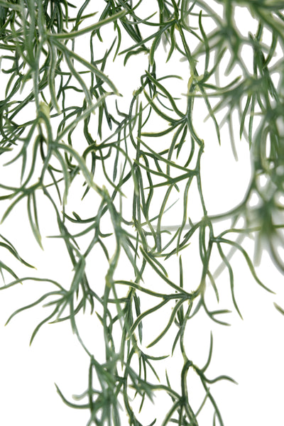 Planta curgatoare Long hair (tillandsia) 85 cm verde inchis