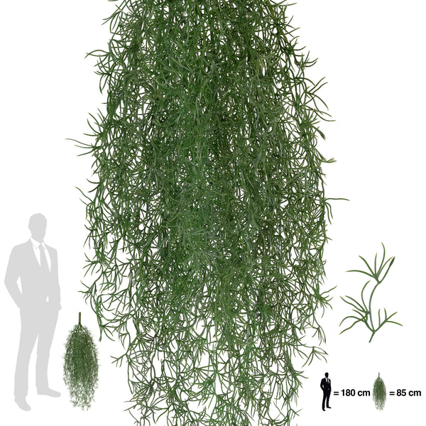 Planta curgatoare Long hair (tillandsia) 85 cm verde padure