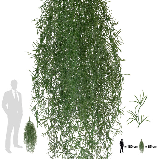 Planta curgatoare Long hair (tillandsia) 85 cm verde padure