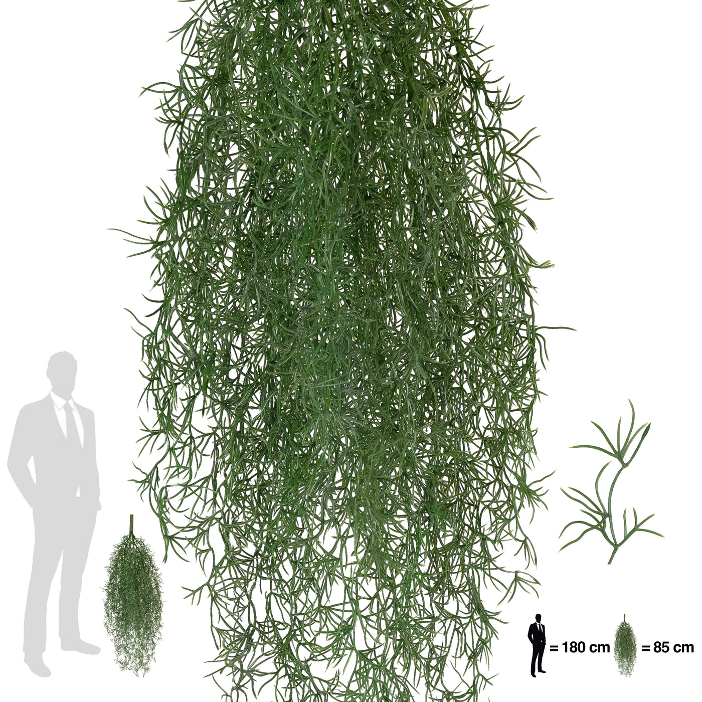 Planta curgatoare Long hair (tillandsia) 85 cm verde padure