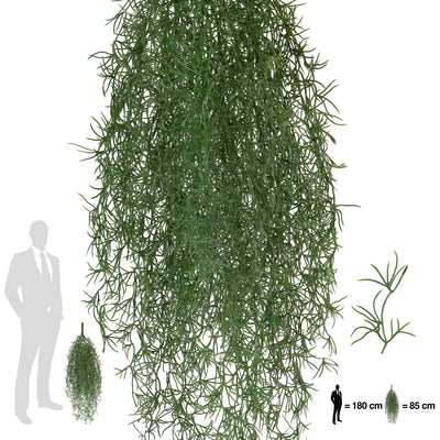 Planta curgatoare Long hair (tillandsia) 85 cm verde padure