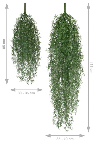 Planta curgatoare Long hair (tillandsia) 85 cm verde padure
