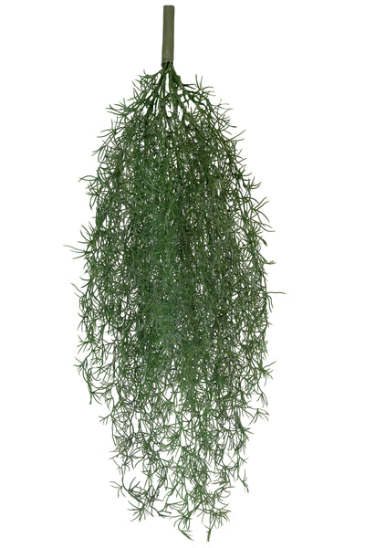 Planta curgatoare Long hair (tillandsia) 85 cm verde padure