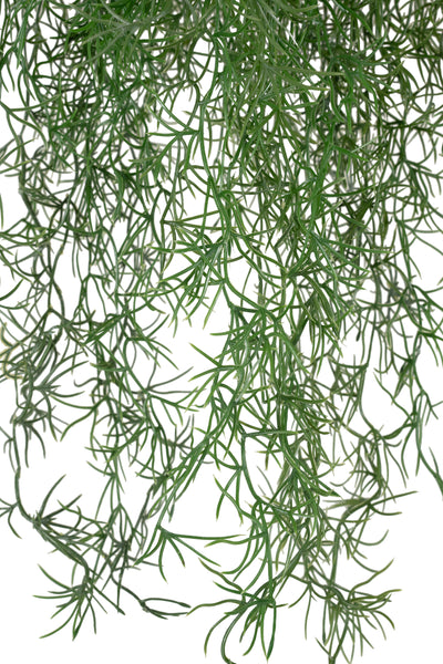Planta curgatoare Long hair (tillandsia) 85 cm verde padure